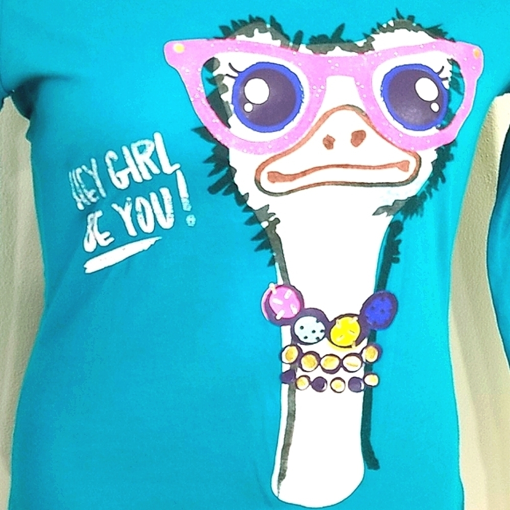 T-shirt long sleeve graphic Print Aqua Blue Emu Whimsical Girl Power Vibe